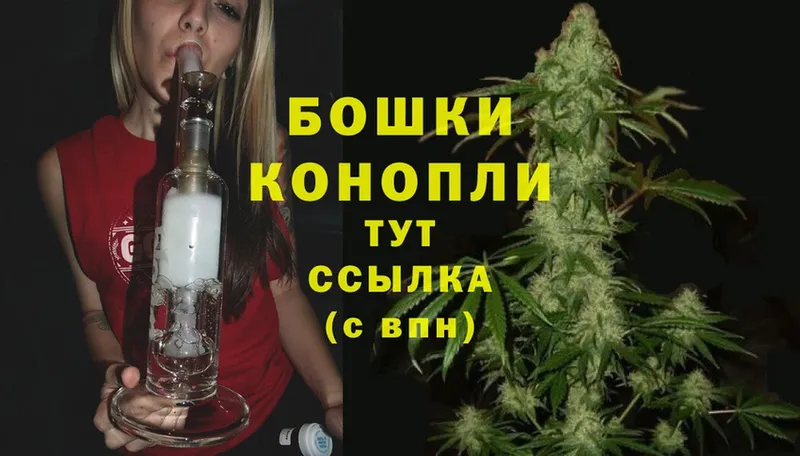 Бошки Шишки индика  Завитинск 